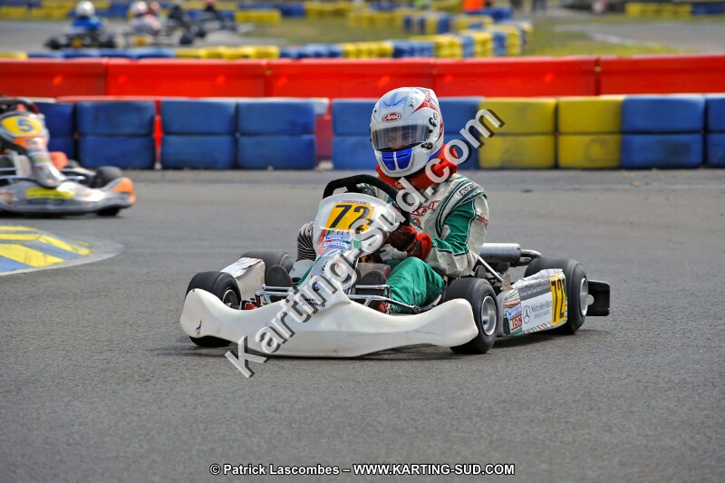 DSC_ (1382).jpg